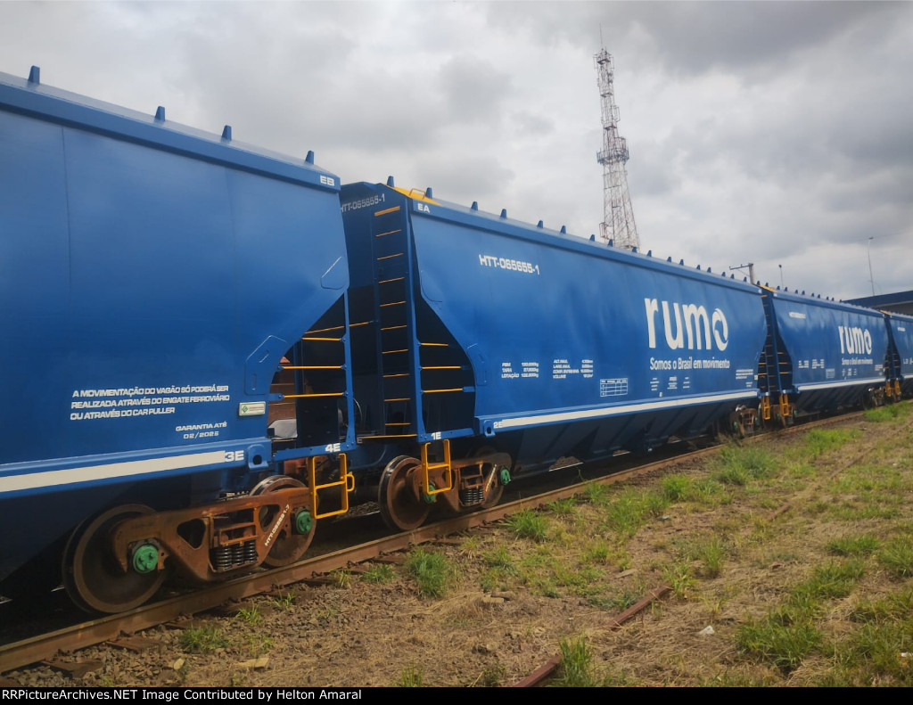 RUMO HTT-065655-1